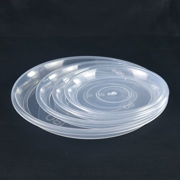 Transparent tray