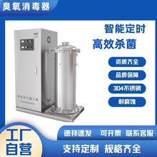 工业大型臭氧发生器废气处理水箱自洁消毒器水处理空间净化除臭氧