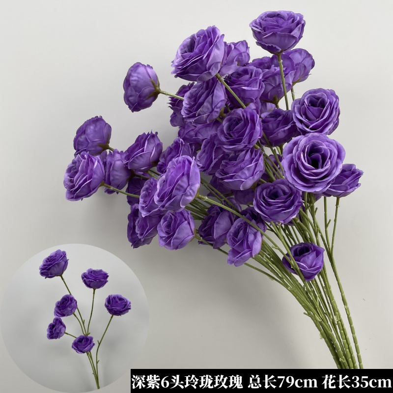 적갈색 짙은 보라색 6개의 절묘한 장미