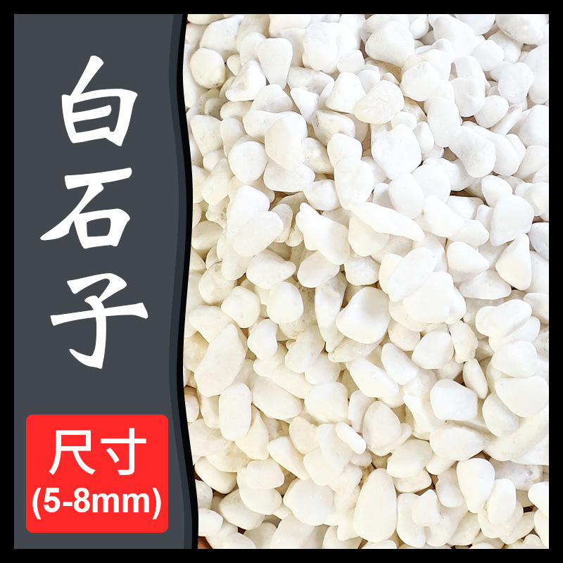 흰 돌 5-8mm5kg
