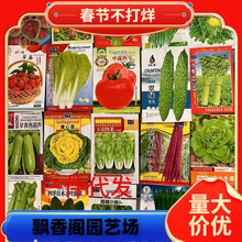 һ�����l�߲˷N���ļ��������̨�N�Y������������S�϶��������