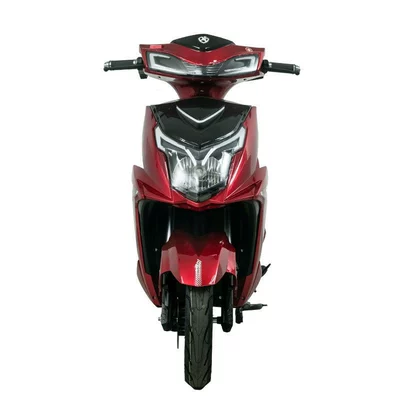 European and American Export Models of Motosikletlər