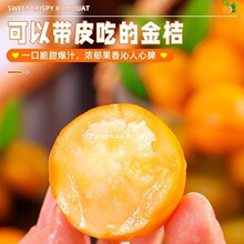 С���Ӯ���ˮ���������ЋD10�ڰ����r�����̏V����Ƥ����۰��]