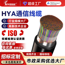 �ӹ����� HYA����ͨ����|50/100�󌦔��Ԓ����Ԓ�W�j����ͨӍ�|