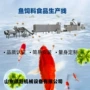 机械观赏鱼膨化机