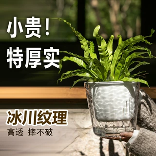 高透明自吸水花盆懒人水培盆阳台室内绿萝盆栽免浇水塑料树脂花盆