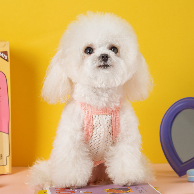Verano lindo amor lazo perro de dos patas cabestrillo perro pequeño y mediano Teddy gato bichón perro mascota ropa