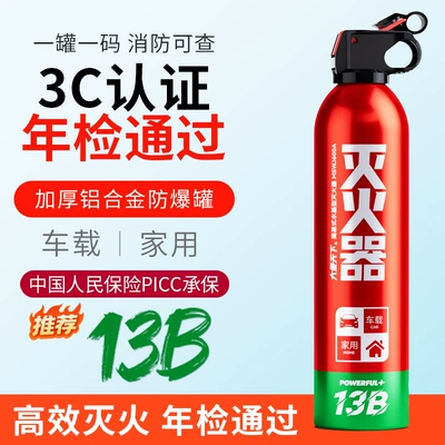 Car Fire Extinguisher Portable: Vehicle fire extinguisher - love-the-world-600ml-13b