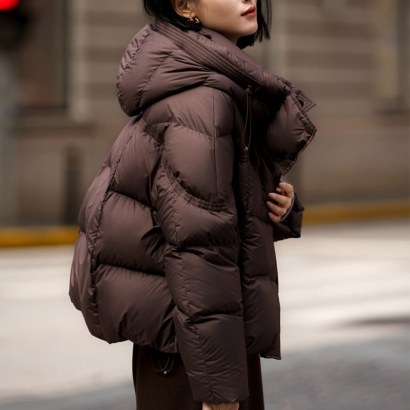 Insulated Cup Three-Proof Goose down Jacket Graphene Heating 95% White Goose down Hooded down Jacket Women's Short Style Winter