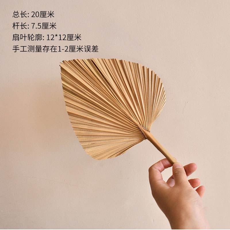 Pu fan hoja girasol fan hoja grande flor seca hoja de palma ventana vino fiesta arte colgante de pared decoración boda Arco de la boda diseño