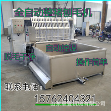 ȫԄiÓëC׈iëCiëiëëC