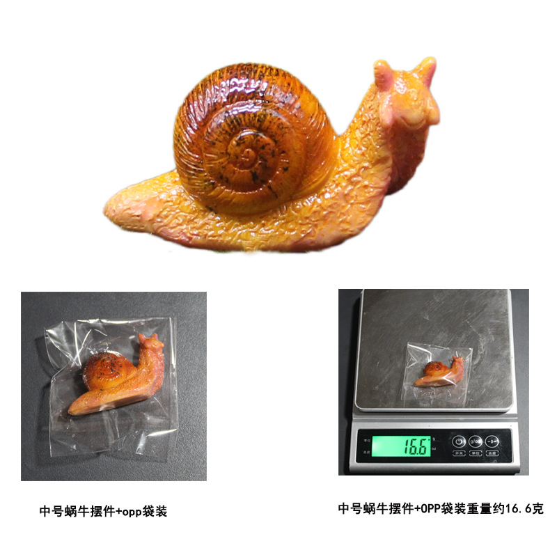 Medium snail