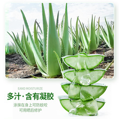 Bisutang hydrating and moisturizing aloe vera gel 500g after-sun repair, moisturizing, oil control, acne-prone aloe vera gel wholesale skin care