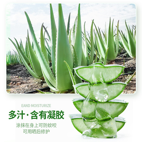 Bisutang hydrating and moisturizing aloe vera gel 500g repairs and improves skin texture and fine pores essence gel one-piece drop shipping