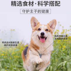 Bile Dog Food / Bile Cat Food Guardian Duck Pear Dog Food Adult Puppies Adult Cats Kittens Original Fresh