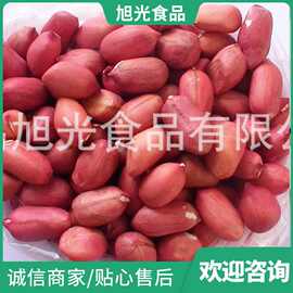 山东厂家批发红衣花生米 去壳零食花生 散装四粒红花生