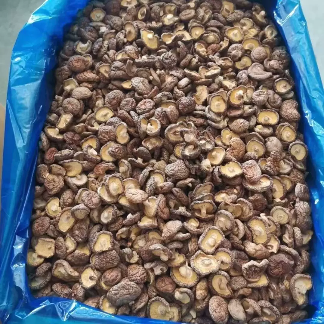 古田县产地直发整朵香菇500g批发零售一体菌菇食用农产品