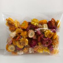 麦秆菊七彩菊干花花头花朵花艺材料包花材花盒手作真干花源头厂家