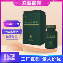 �����t���嚤���ǉ�Ƭ�ǹ����ӹ� ���zܛ���N�ƏS�� ����Ԫ�ۄ�