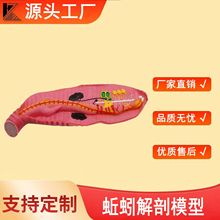 ������ģ�����̌W��ʾ�x���̾߭h������΢����Ŵ�ģ������