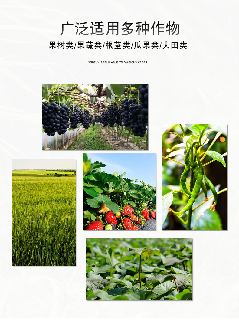 矿源黄腐酸钾一等品详情页_04