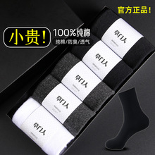 �m�����ļ���Ͳ�m100%���޿�������������ɫ�̄����b��ʿ�L�m