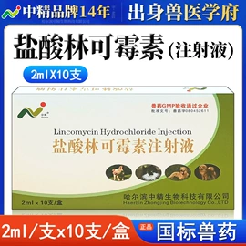 狗狗医疗药用;塑料瓶、壶;其他饲料