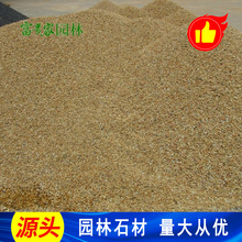 厂供天然黄色石子 天然河沙米黄石米 园林铺路黄金石多规格