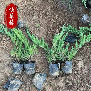 ���ػ������l���ذ� �G������䁵ذر��� �ļ������@�־G��