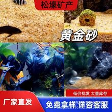黄金沙南美三湖鼠鱼底沙天然细河沙厂家直发水草砂化妆沙鱼缸草缸