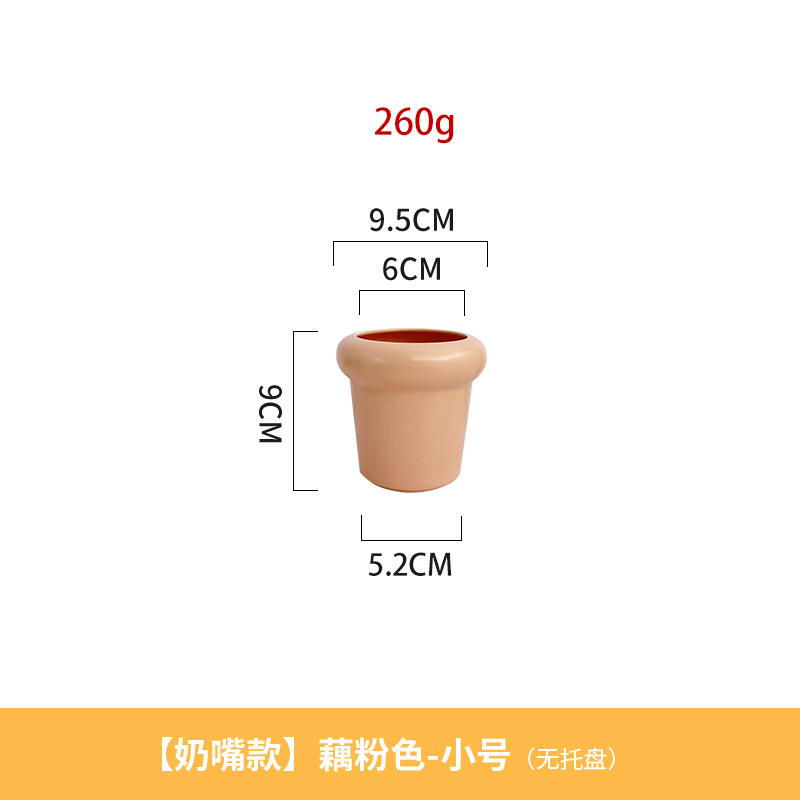 Lotus root pink-small size (without tray) 260g