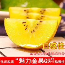 ���ܛ���J���ҹ�����ͥԺֲ�����Ե��Ԯ���Y���ϱ����Nֲ��ľ