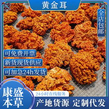 产地包邮云南特色菌菇煲汤金耳菌黄金耳木耳干货食用菌香料中药材