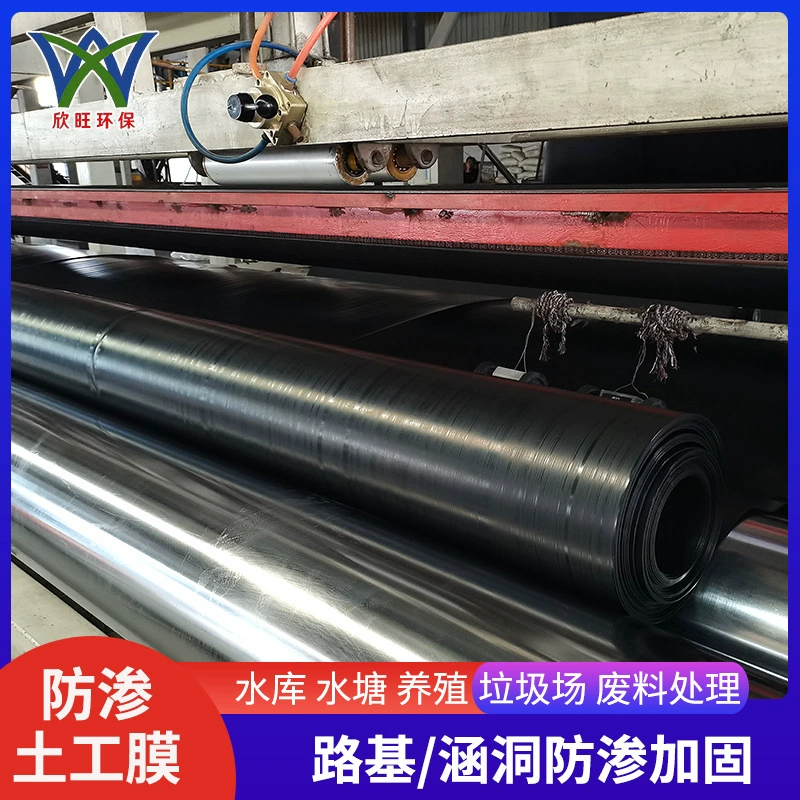 Совершенно новый материал, геомембрана с защитой от просачивания, резервуар для рыбного пруда, водонепроницаемая пленка, туннель метро, инженерная полиэтиленовая геомембрана