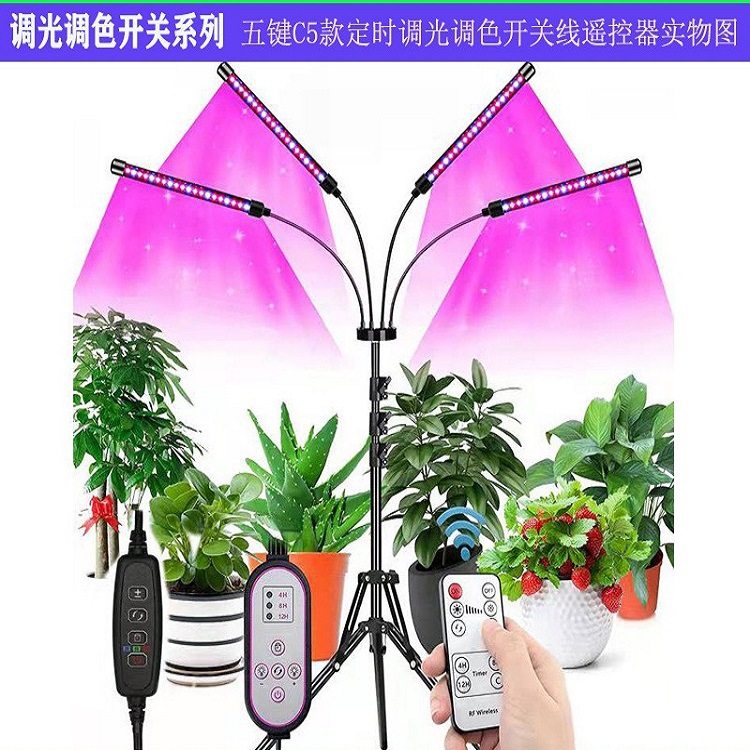 O1CN01ZMBDRc1Nq0MDB9NyP_!!2886