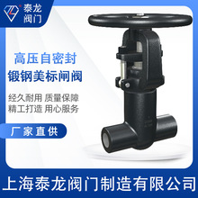 PZ11H-2500LB中泰龙锻钢自密封闸阀内螺纹丝口磅级蒸汽用SW.NPT阀