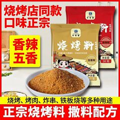 烧烤调料撒料粉家用调味料空气炸锅烤肉蘸料烧烤粉烧烤专用腌料