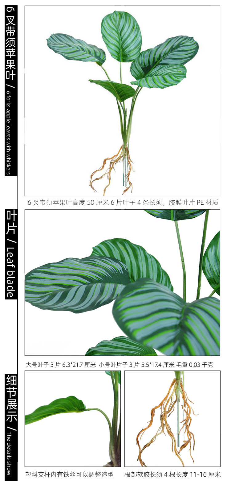 6叉带须苹果叶 副本副本