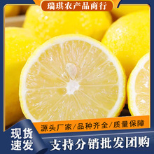 ���ھ�Ʒ�����S����15���������rˮ��Ƥ������10���l���]�Ĵ�����