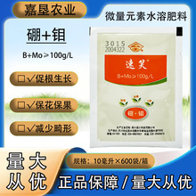 ������Ц���f�~��ʴٸ������p�ٻ��ι��̵�΢��Ԫ��ˮ�ܷ���