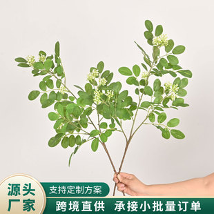 ����G�~��֧�����~ֲ��Ҿӿ͏dܛ�b��c�����b廨�~�Ļ����~