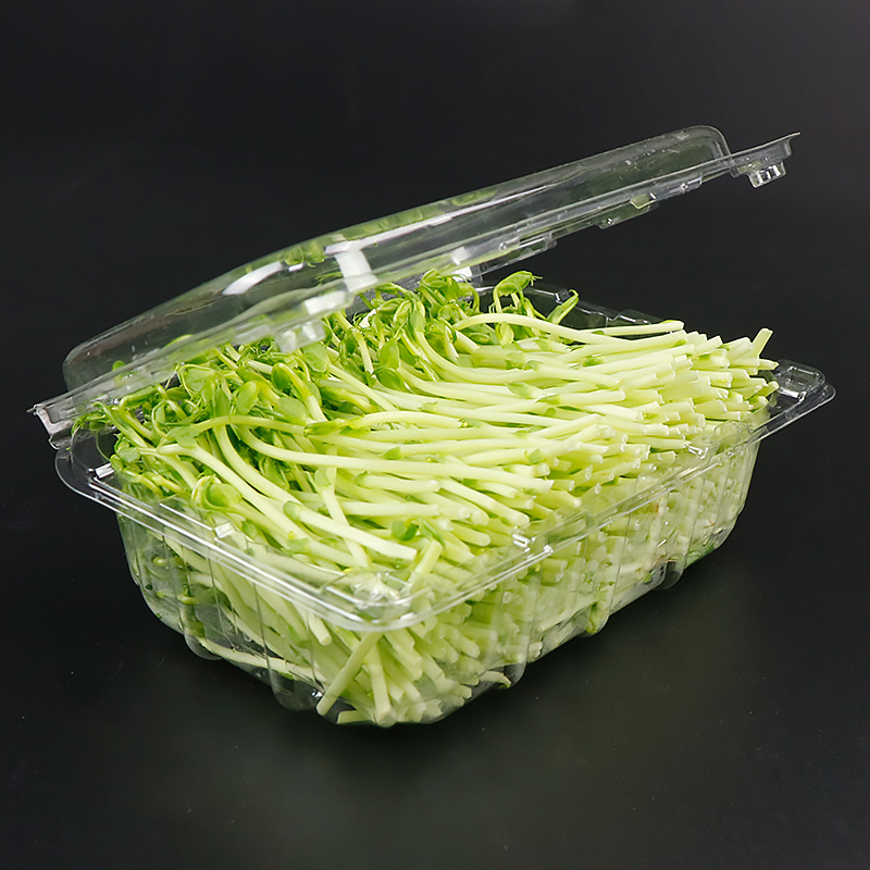 蔬菜盒39