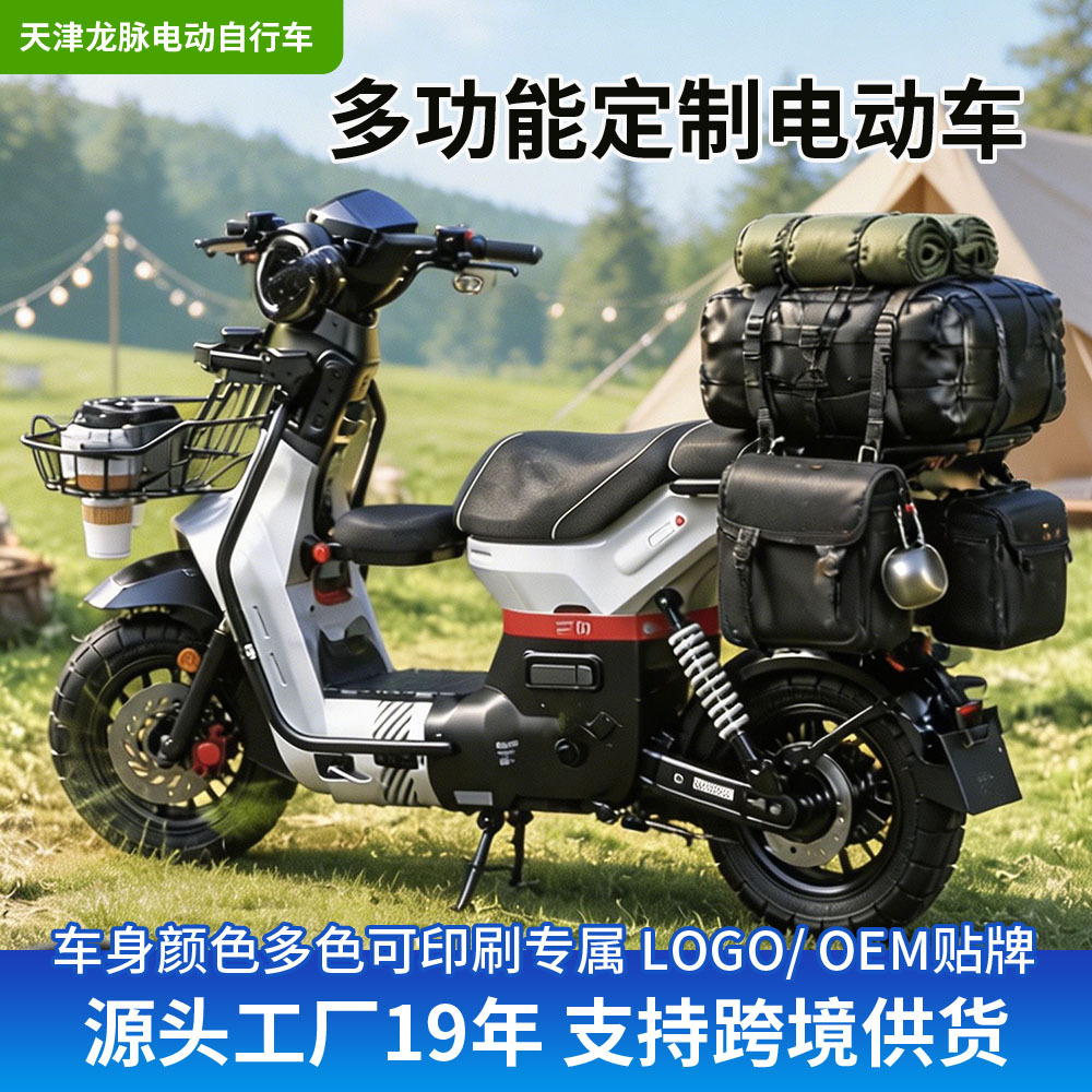 多功能定制电动车二轮电瓶车通勤代步车外卖车接送孩子代步车