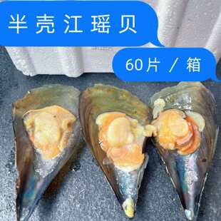 �����뚤����ؐ  �뚤����������ӽ���ؐ���r�Gؐ��ؐ60Ƭ/��