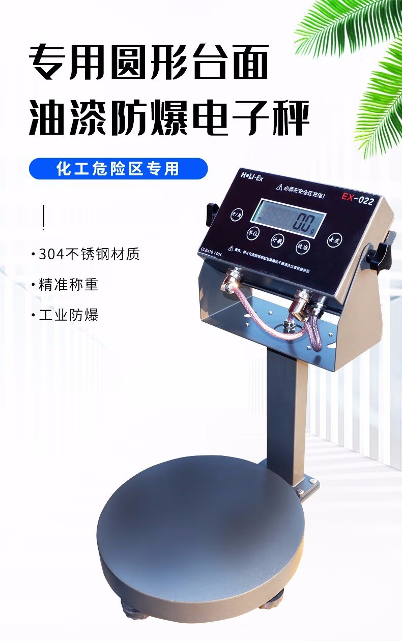 防爆电子秤