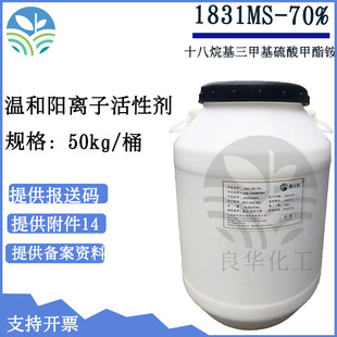 1831MS Ӳ֬�� ʮ��������׻���������@ ���Ȼ ��x�ӱ���