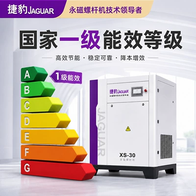 Hava kompressorları, Jaguar Screw Air Compressor