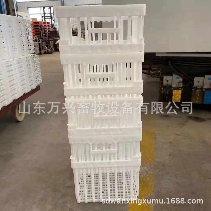 孵化场蛋筐 塑料种蛋筐 加厚型塑料蛋筐多功能筐 万兴畜牧批发