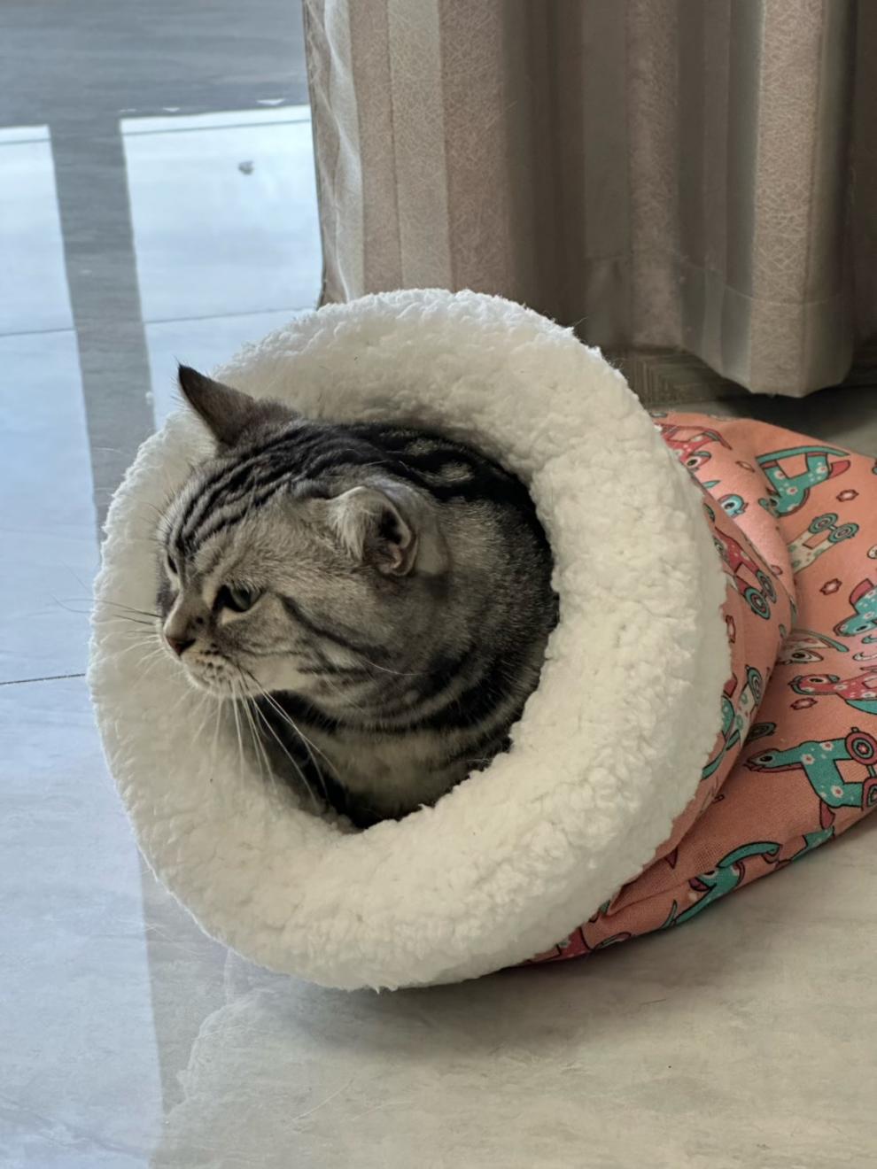 6d34c6e7-44b5-4b1c-98e5-f4603dfa9fea.jpe