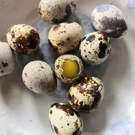 方便面类;瓜子;香肠烤肠类